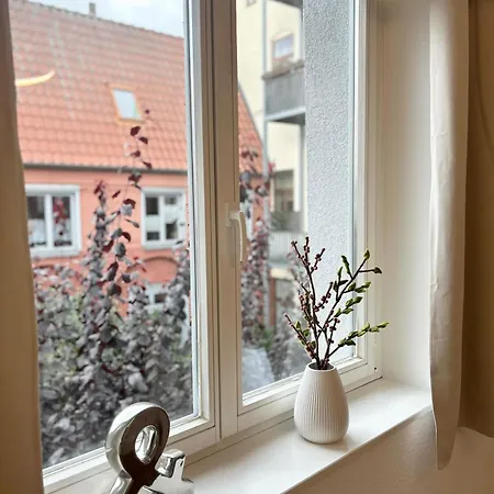 Bakgardssvit - Abc262 *